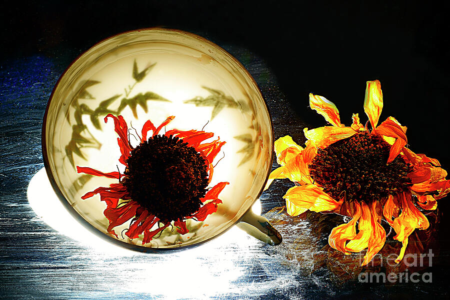 Still Life With Sunflowers And A  Cup. Photograph by Alexander Vinogradov