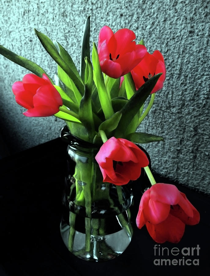 Still Life With Tulips Photograph by Jasna Dragun