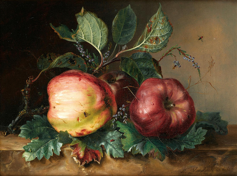 Still Life with two Apples Painting by Julie Palmyre Van Marcke-Robert