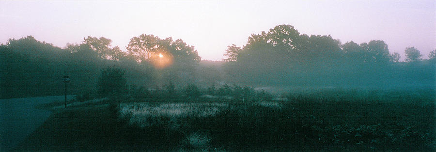 Tree Photograph - Still Mist by Tom Hefko