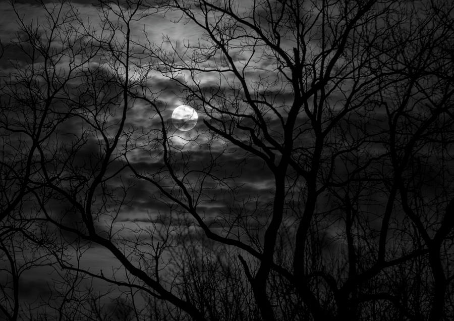 Still of the Night Photograph by Rick Furnas - Fine Art America