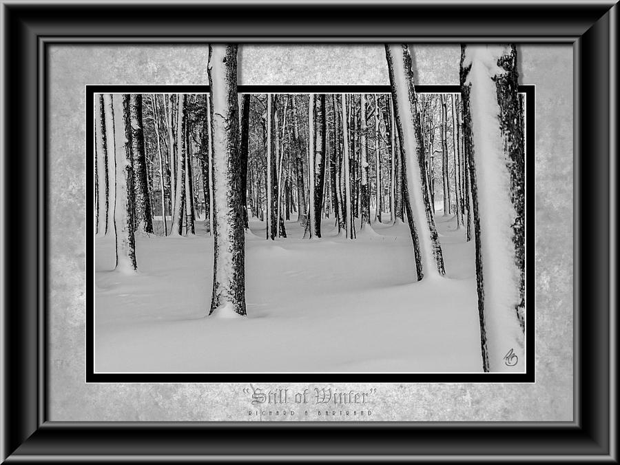 Still of Winter BW Photograph by Rick Bartrand