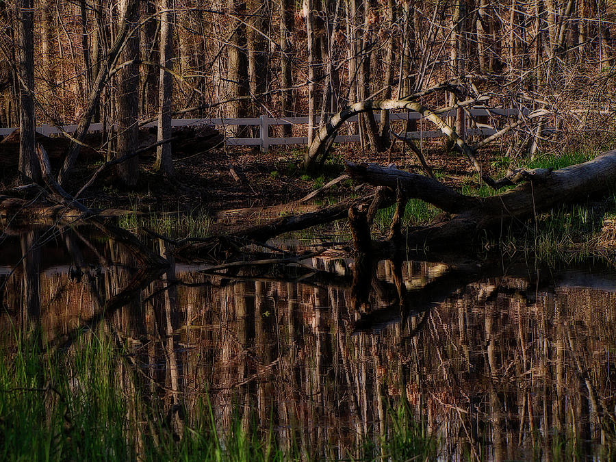 Still Pond Photograph by Scott Hovind