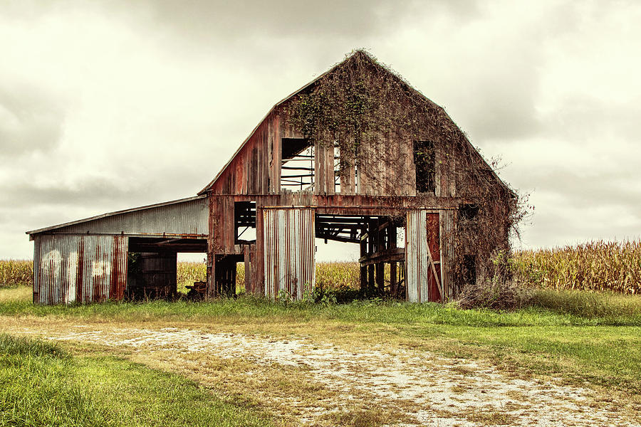 Still Standing Ohio Barn  Photograph by Betty Pauwels