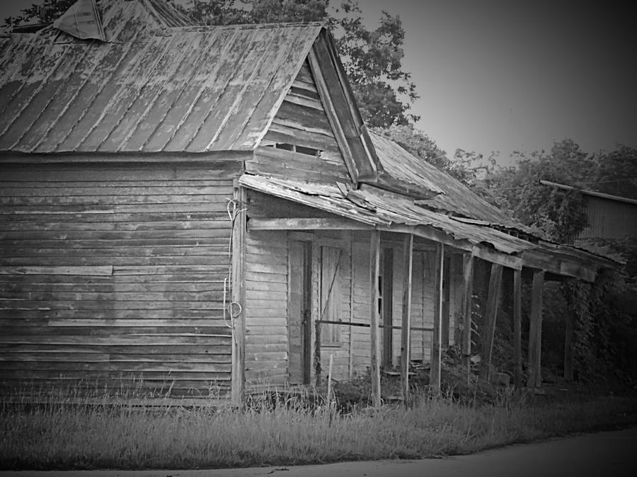 Still standing Photograph by Teresa Palmer | Fine Art America