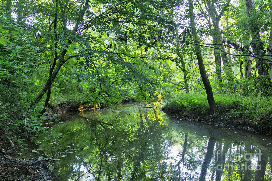 Hdr Photograph - Still Stream by James Foshee Hdr Photograph - Still Stream by James Foshee