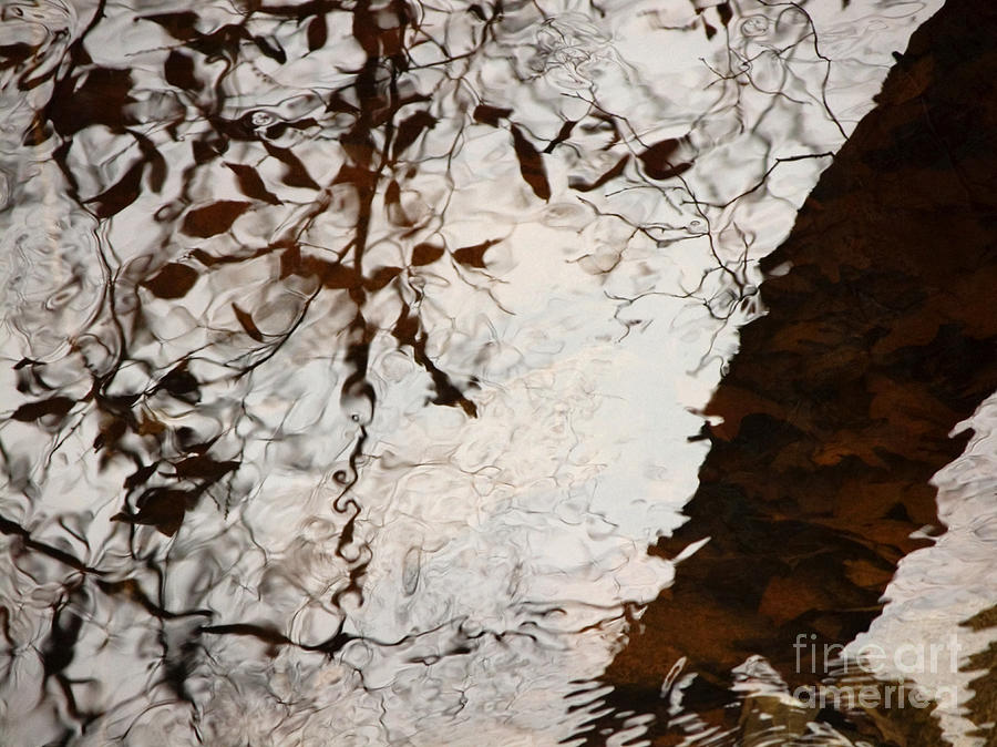 Abstract Photograph - Still Water Woman by Joanne Baldaia - Printscapes