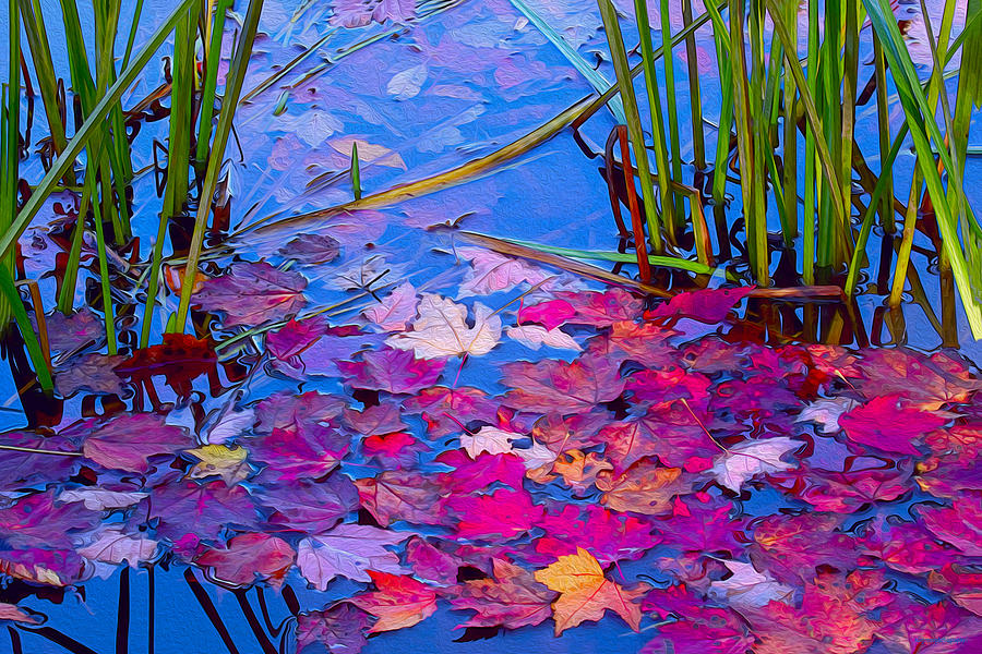 Fall Photograph - Still Waters by Ron Jones