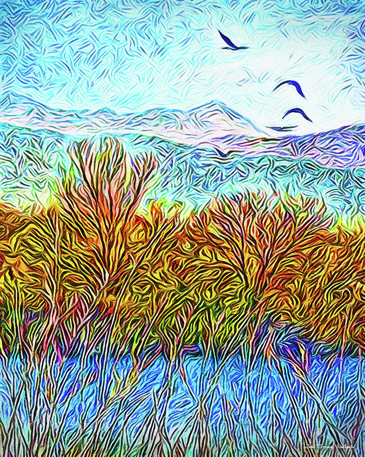 Stillness In Motion - Birds Over Colorado Pond Digital Art by Joel Bruce Wallach
