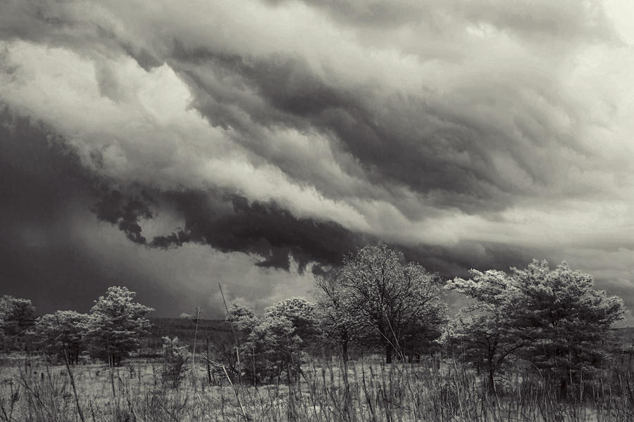 Black And White Photograph - Stillness of the Storm by Toni Hopper
