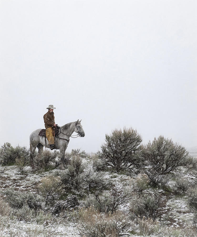 Cowboy Photograph - Elijah  by Pamela Steege