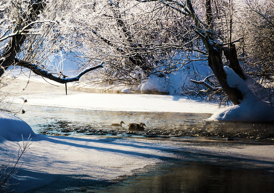 Stillwater Winter Photograph by Robert McKay Jones