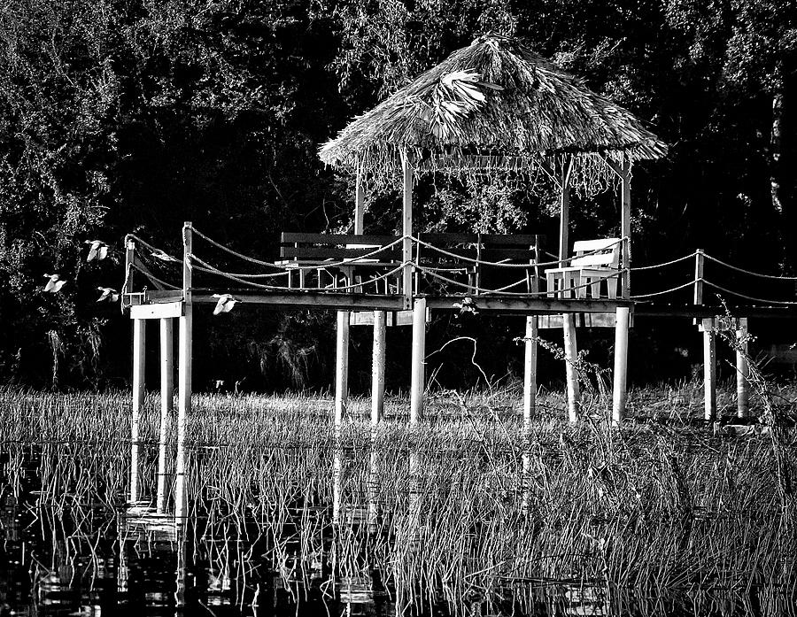 Stilt Dock Photograph by Jessica Levant