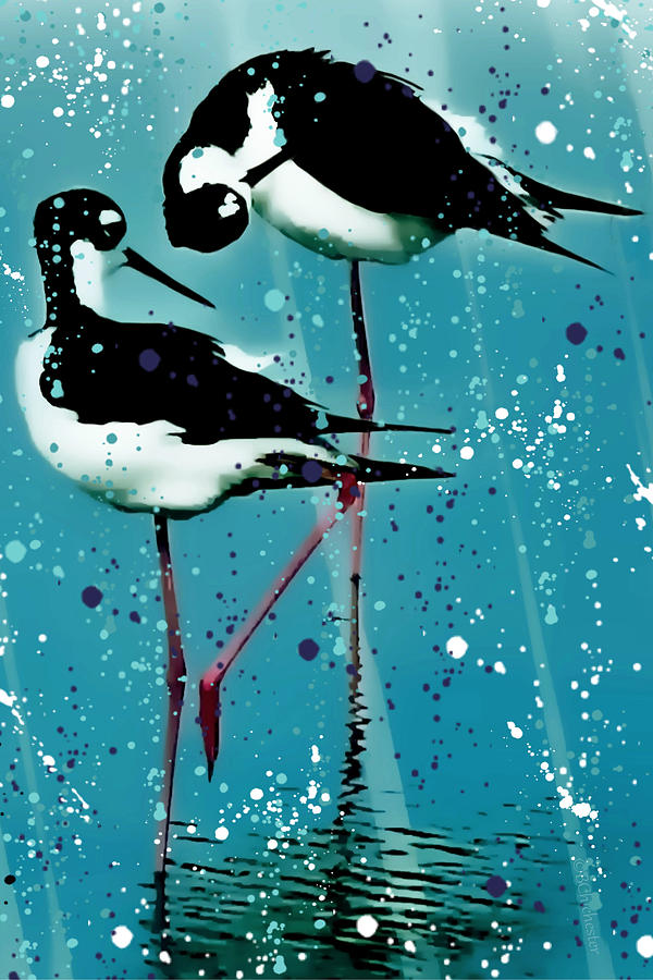 Bird Painting - Stilt Splash by Barbara Chichester