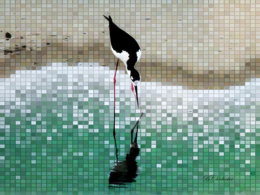 Wildlife Painting - Stilts Mosaic Reflection by Barbara Chichester