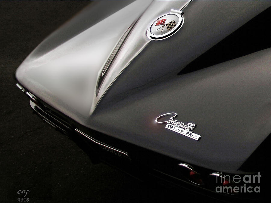Corvette Photograph - Sting Ray by Curt Johnson