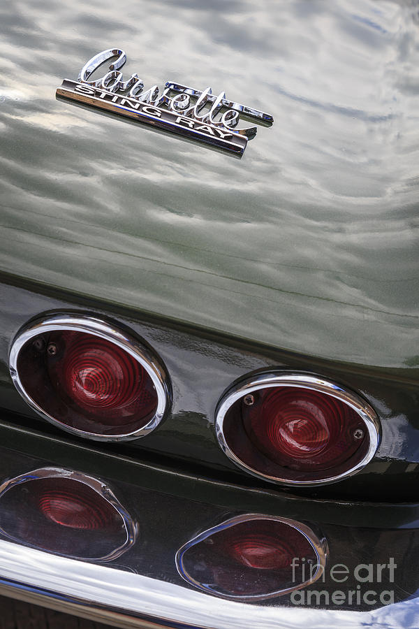 Sting Ray Taillight Photograph by Dennis Hedberg