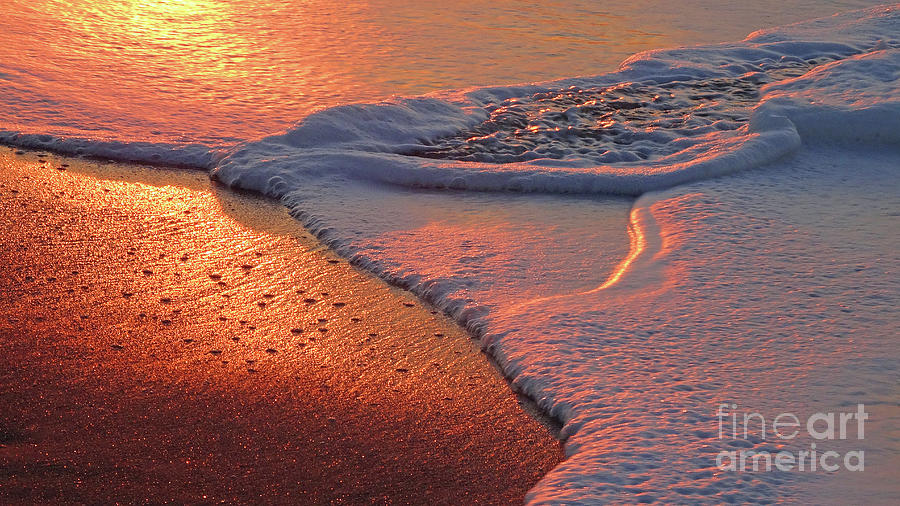 Stingray Ocean Foam Photograph by Eunice Warfel