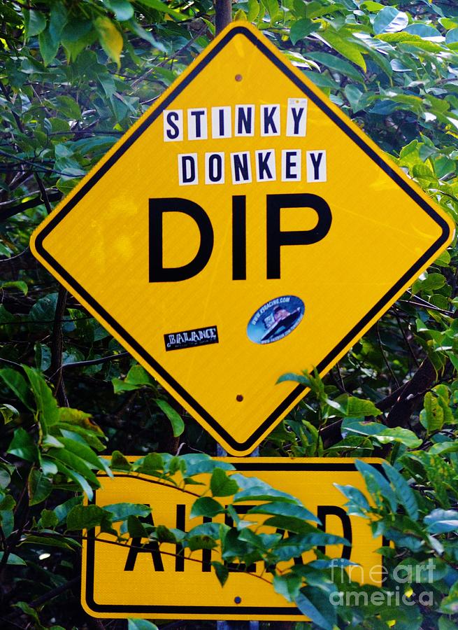 Stinky Donkey Dip St. John USVI Photograph by Tamara Michael