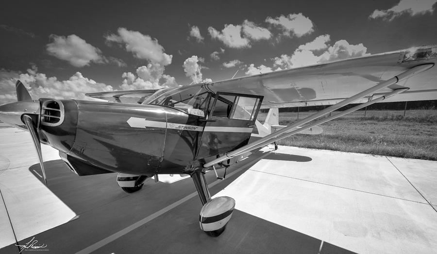 Black And White Photograph - Stinson in Black and White by Phil And Karen Rispin