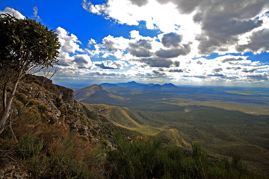 Stirling Range National Park.2 Photograph by Tony Brown
