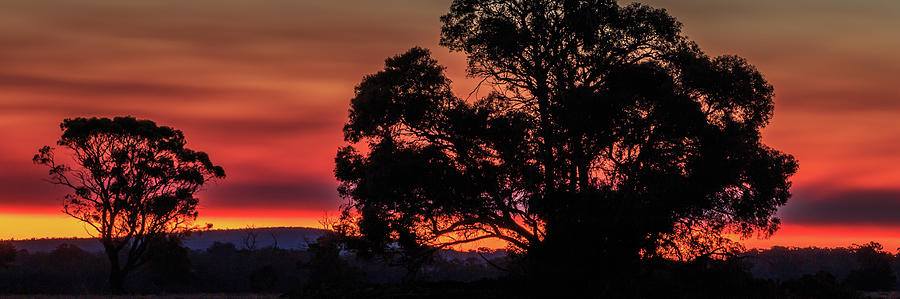 Stirling Range Sunset Photograph by Robert Caddy
