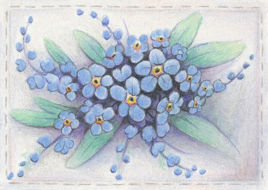 Flower Drawing - Stitched Forget-Me-Nots by Amy S Turner