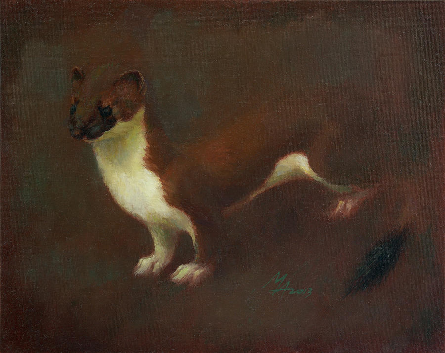 Stoat or Ermine in Summer Coat Painting by Attila Meszlenyi