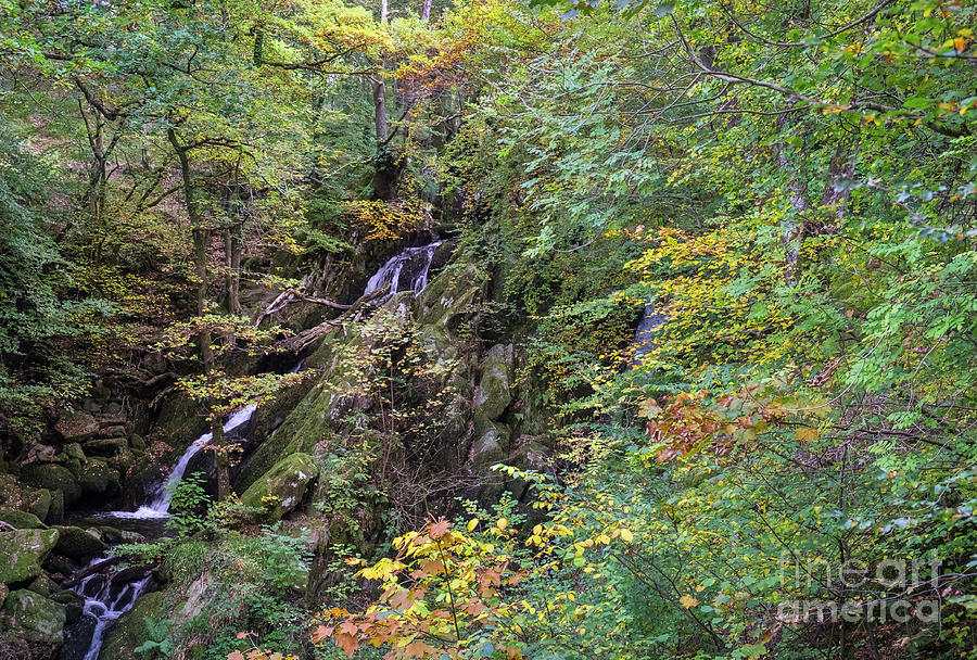 Stock Ghyll Force Waterfall, Ambleside, Cumbria, UK Photograph by Philip Preston