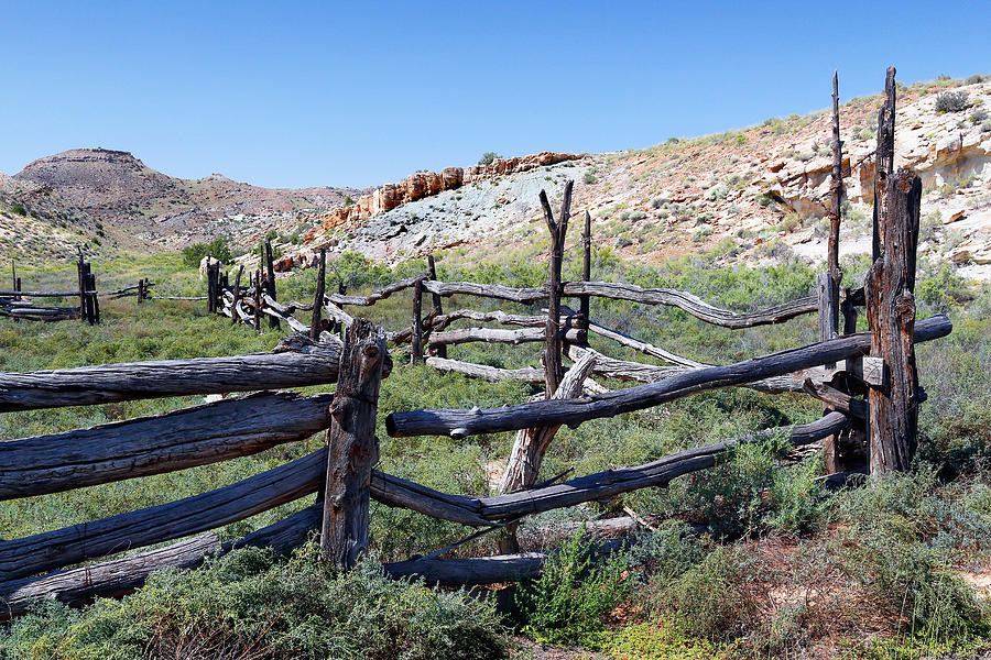 Cow Photograph - Stockade at Wolfe Ranch by Nicholas Blackwell