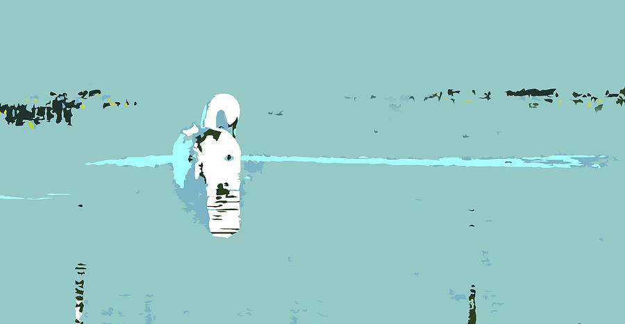 Swan by Mary Castellan Swan by Mary Castellan