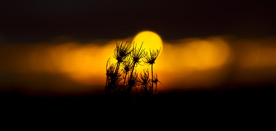 Landscape Photograph - Stolen Sunrise by Phil Koch