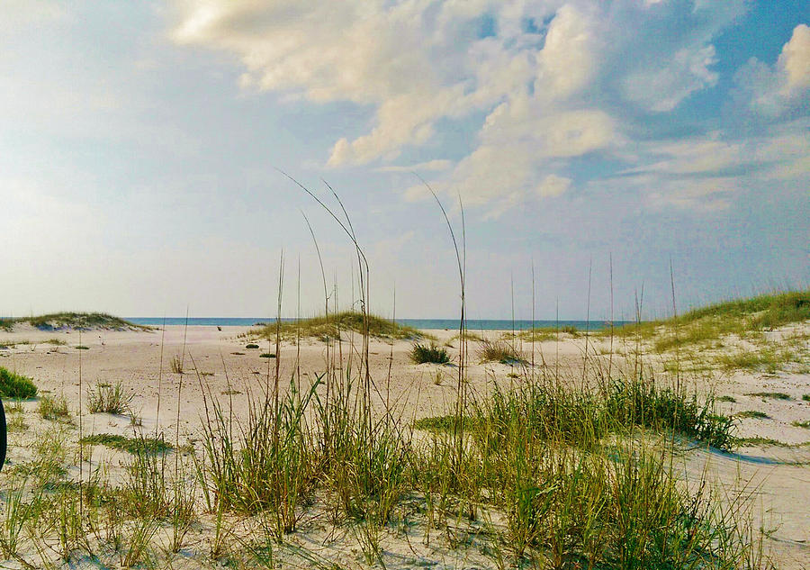 Stomping Grounds Photograph by Kim Derington - Tillman | Fine Art America