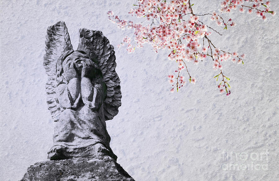 Stone Angel under Cherry Blossoms Photograph by Charline Xia