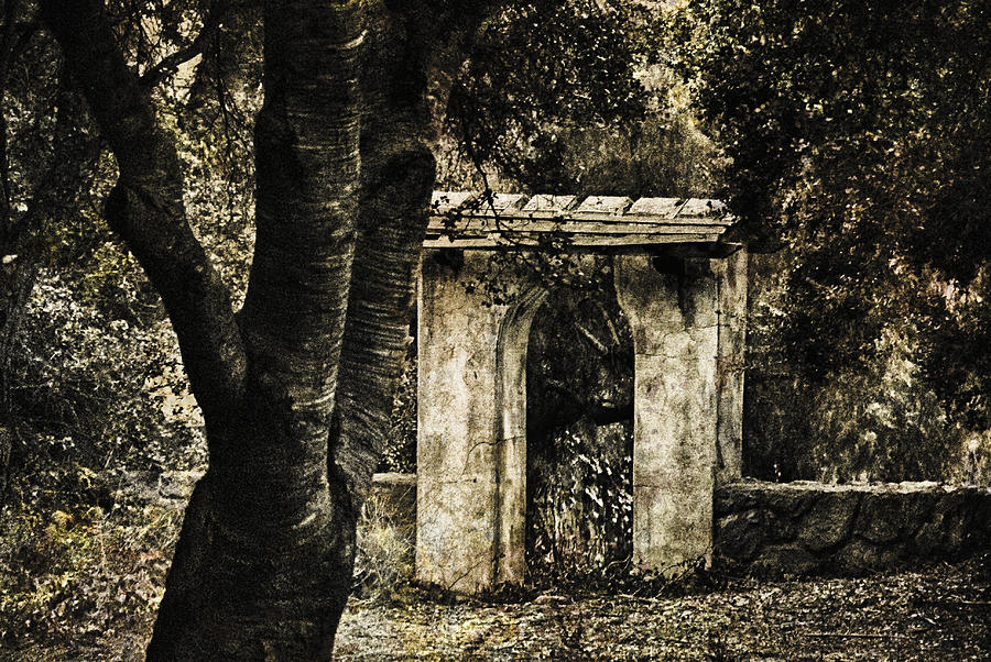 Stone Archway in the Forest Photograph by Joseph Hollingsworth