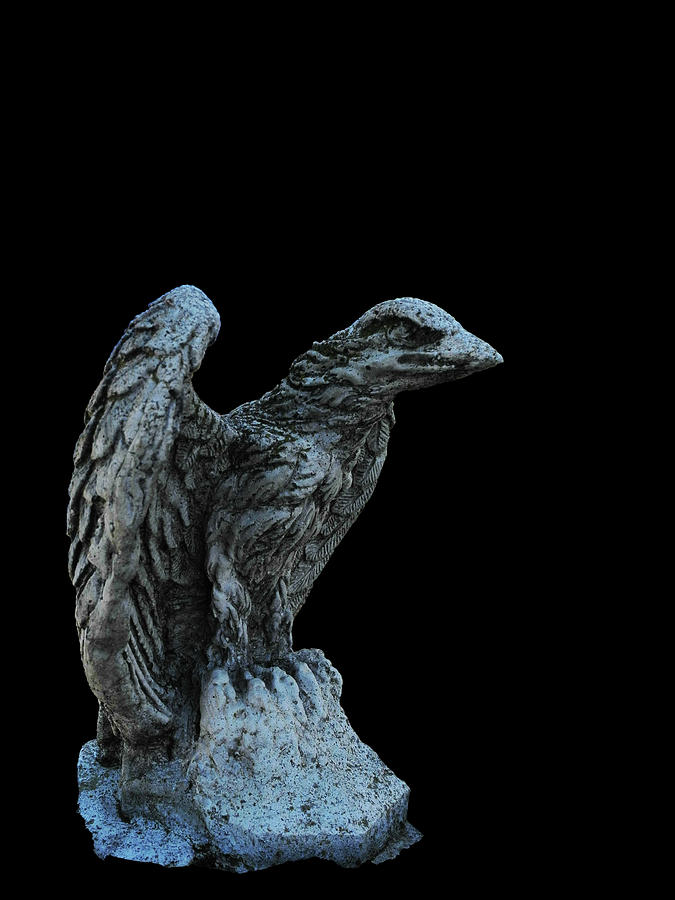 Stone Bird Photograph by Mark Blauhoefer