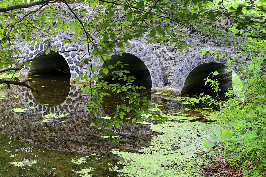 Stone Bridge and Reflection 2 062618 Photograph by Mary Bedy