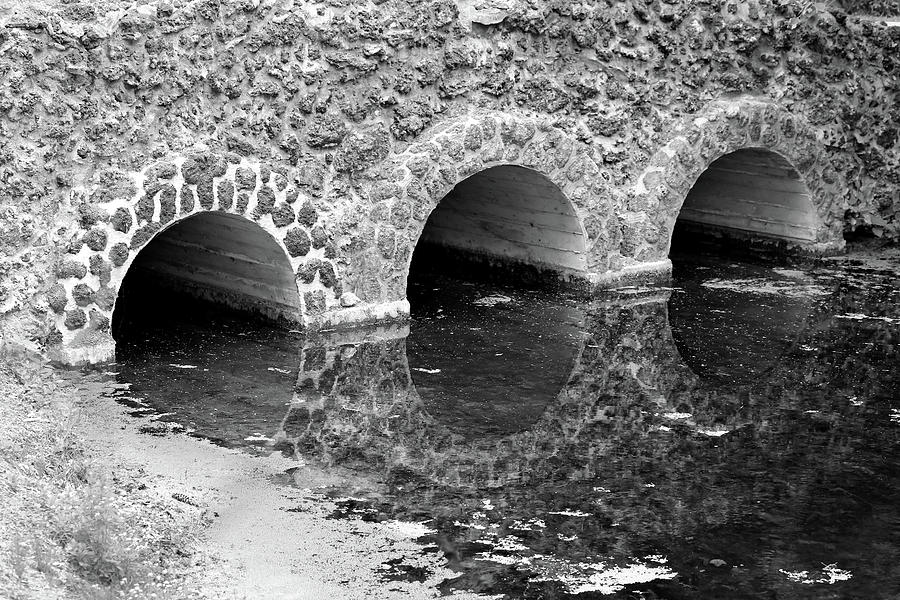 Stone Bridge and Reflection 4 BW Dow Gardens 3 062618 Photograph by Mary Bedy