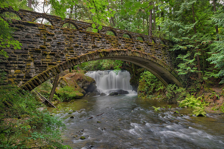 Stone Bridge at Whatcom Falls Park Photograph by David Gn