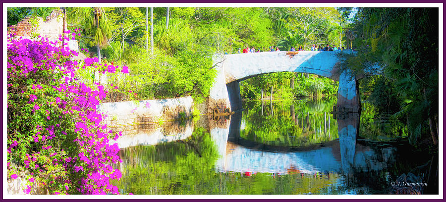 Stone Bridge, Canal and Bougainivillea Photograph by A Macarthur Gurmankin