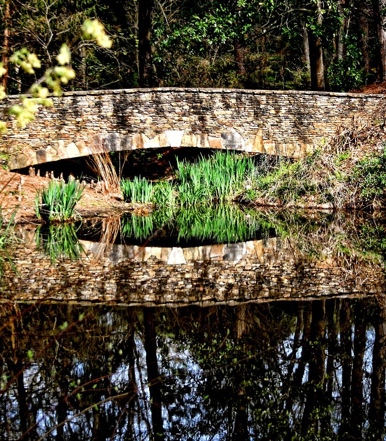 Tree Photograph - Stone Bridge by Cathy Harper