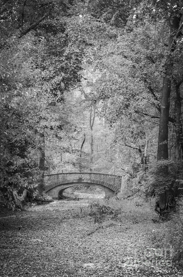 Stone Bridge In The Woods Photograph by Tamara Becker