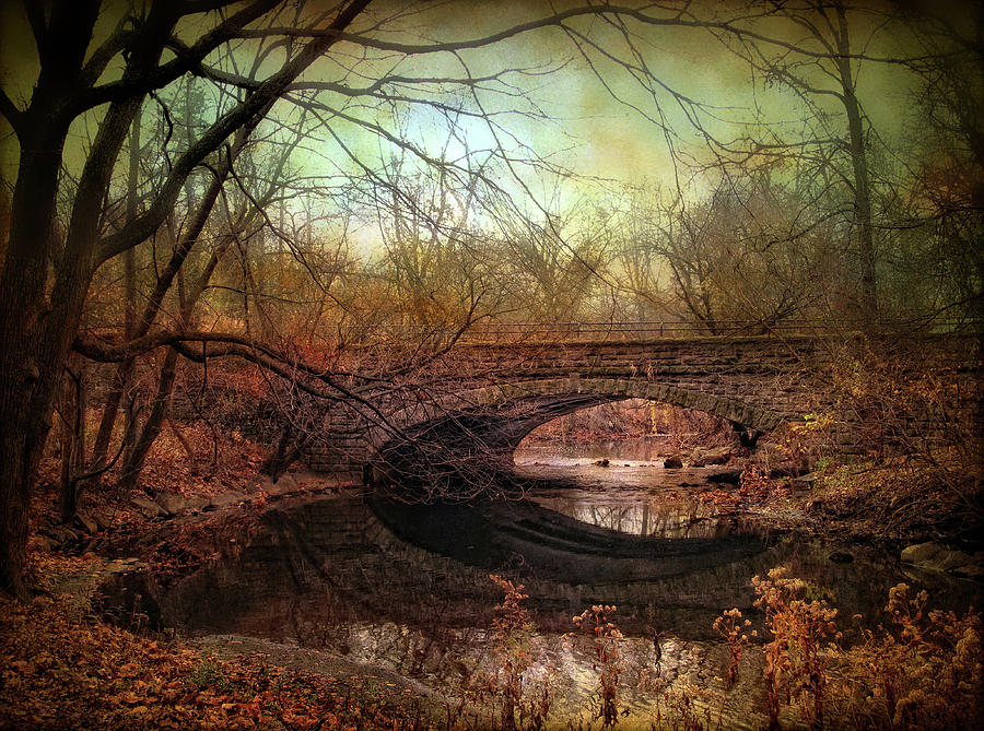 Tree Photograph - Stone Bridge by Jessica Jenney