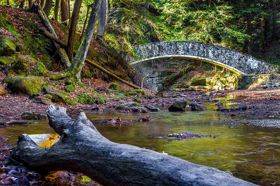 Stone Bridge Over Old Mans Creek Photograph by Ron Pate