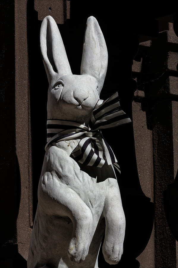 Stone Bunny with Bowtie Photograph by Robert Ullmann