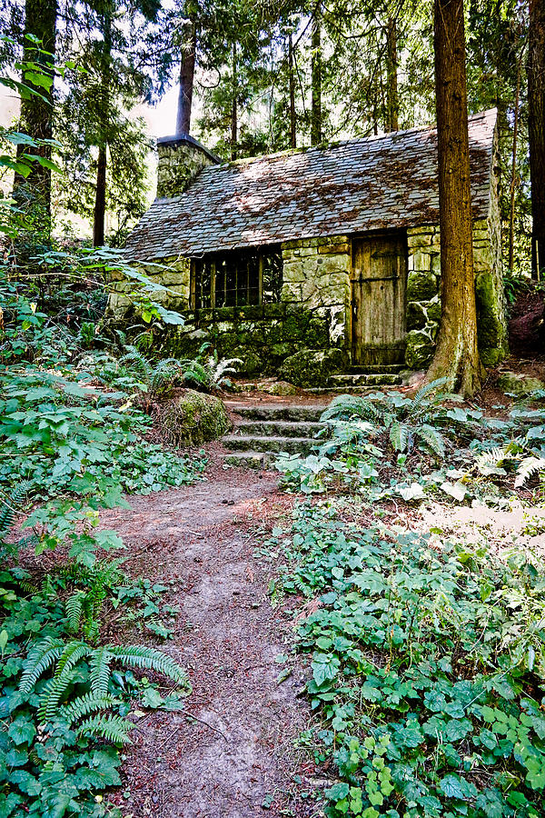 Stone Cabin In The Woods Photograph by Athena Mckinzie