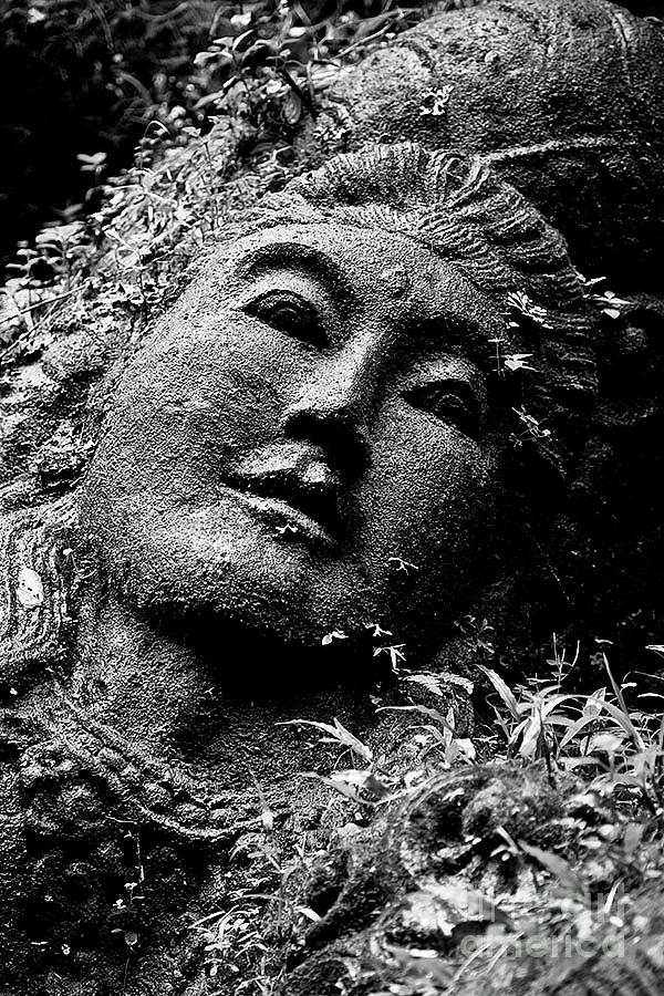 Stone Carving on the Ayung River Photograph by Craig Lovell