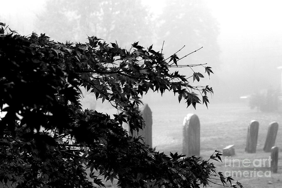 Church Cemetery Photograph - Stone Cold Fog by Steven Macanka
