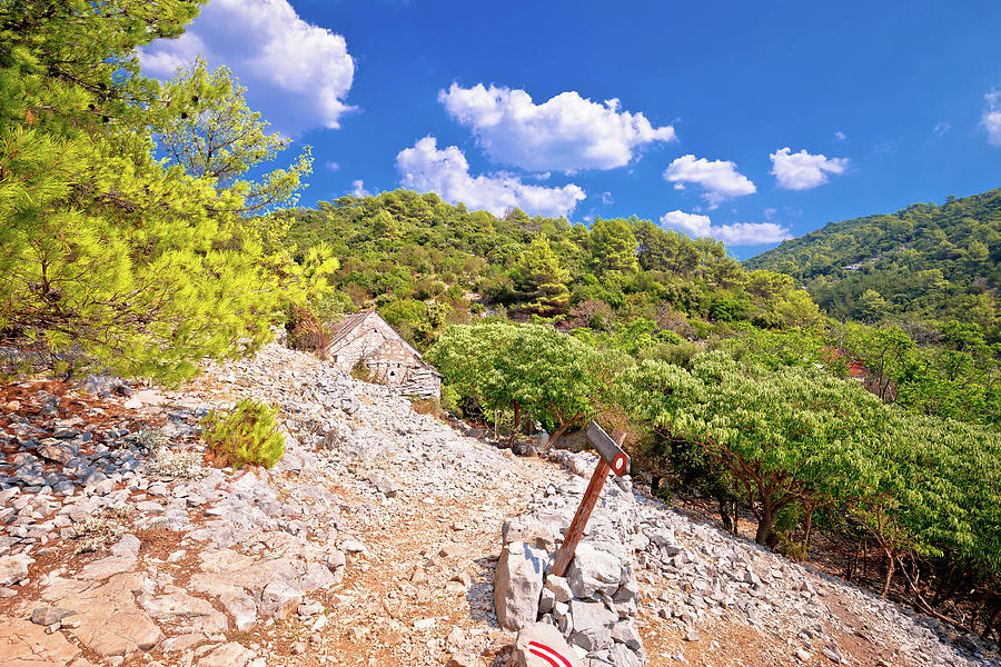 Stone desert path near Pustinja Blaca on Brac island Photograph by Brch Photography