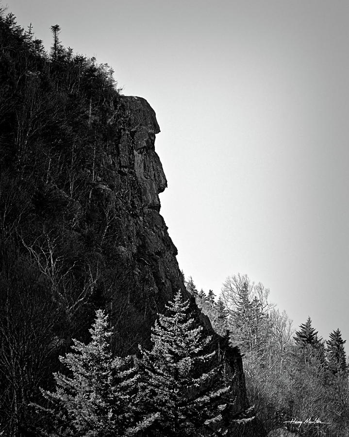 Stone Face Photograph by Harry Moulton